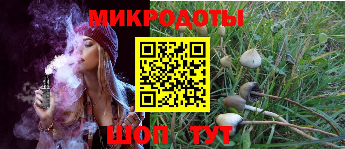 Галлюциногенные грибы мухоморы  Вход с VPN  Пугачёв  Псилоцибиновые грибы мухоморы 