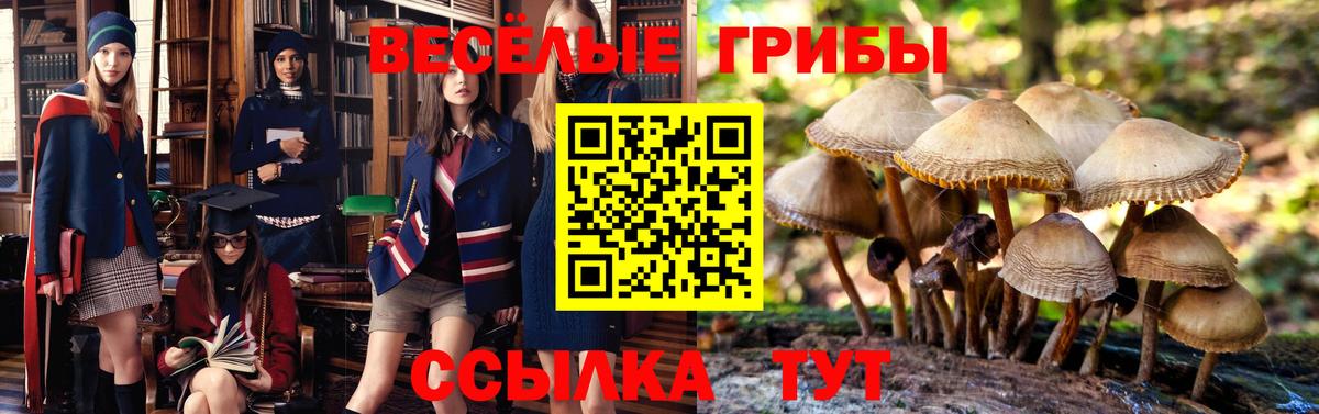 Псилоцибиновые грибы прущие грибы Пугачёв